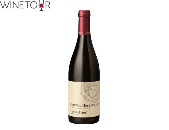 Вино виноградне натуральне сухе червоне Кото Бургіньон Гаме - Піно Нуар 2020 39140 фото